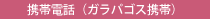 携帯電話（ガラパゴス携帯）